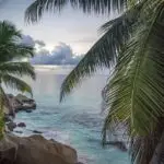 Tropical shoreline with turquoise water, rocky beach, and palm fronds framing the scene.