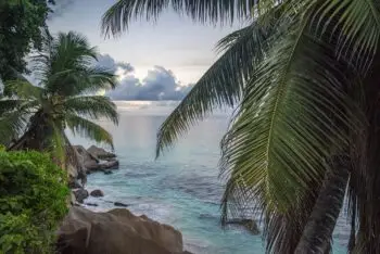 Tropical shoreline with turquoise water, rocky beach, and palm fronds framing the scene.