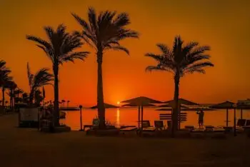 Silhouetted palm trees along a beach at sunset, sun near the horizon over calm water with lounge chairs and umbrellas nearby.