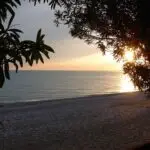 Sunset over a calm sea viewed from a pebble beach, framed by dark tree silhouettes on either side.