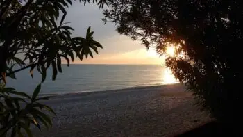 Sunset over a calm sea viewed from a pebble beach, framed by dark tree silhouettes on either side.