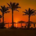 Tropical beach at sunset with silhouetted palm trees, lounge chairs, and thatched umbrellas along the shore; person in the distance taking a photo by the water.