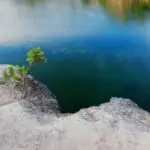 Small pine tree on a rocky cliff overlooking a calm blue lake and reflections above the water.