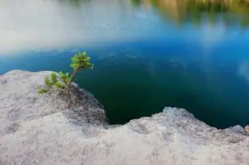 Small pine tree on a rocky cliff overlooking a calm blue lake and reflections above the water.