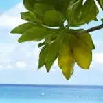 Сколько денег брать с собой на Пхукет?