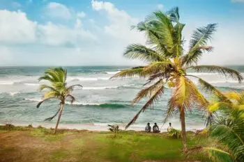 Group of people sitting on a grassy beach with palm trees and ocean waves in the background.
