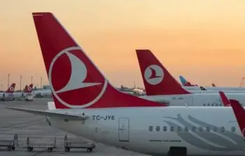 Several Turkish Airlines planes with red tails and white logos parked on the airport tarmac at sunset.